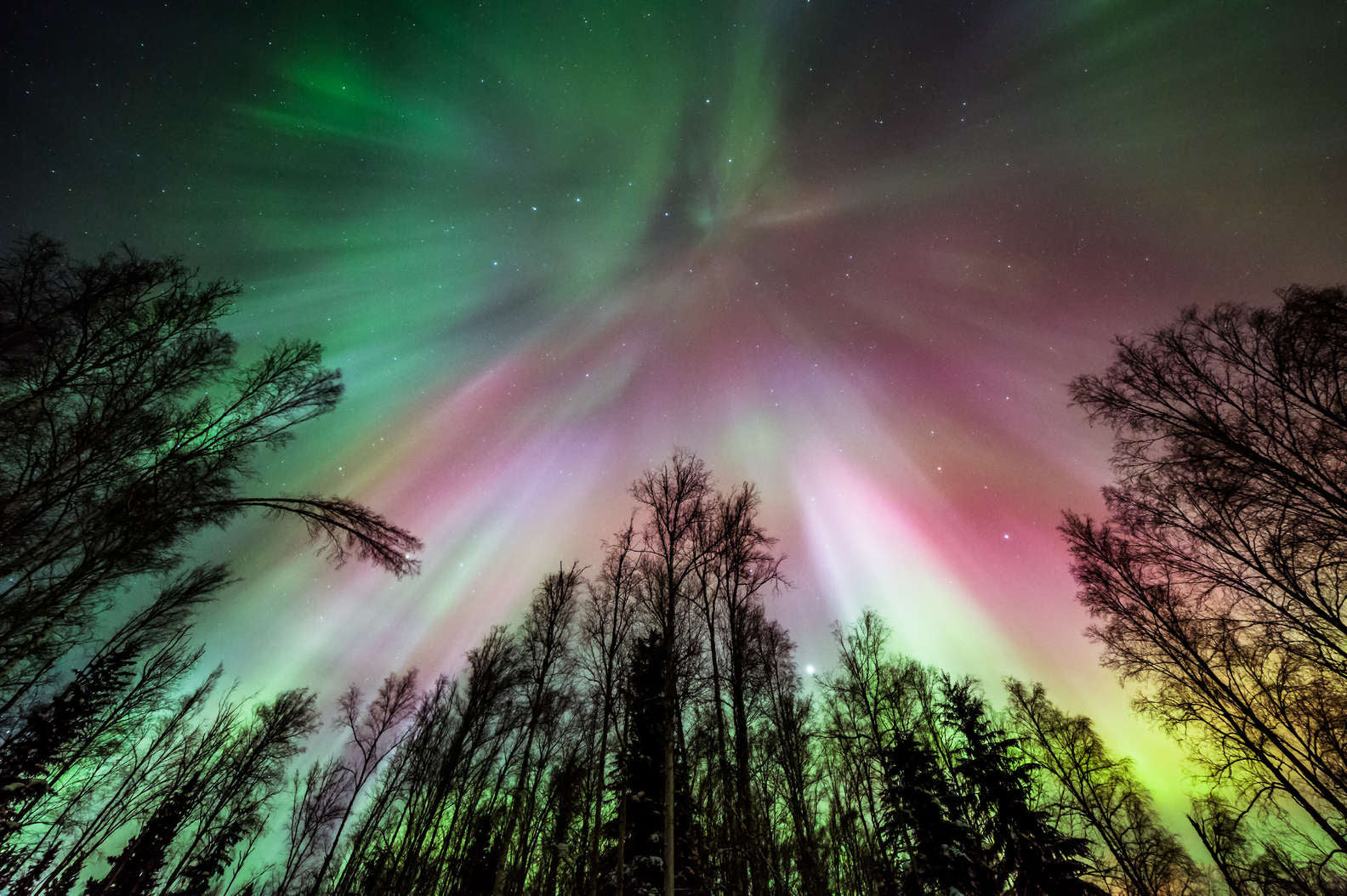 Learn, Laugh, Explore, & More - February 25, 2022