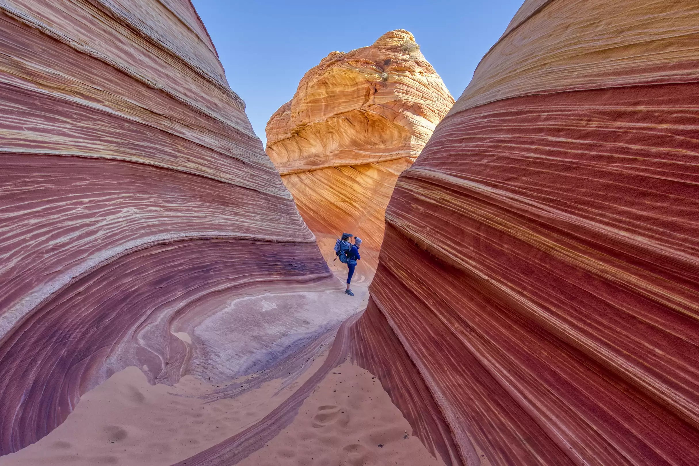 Learn, Laugh, Explore, & More - December 2, 2022