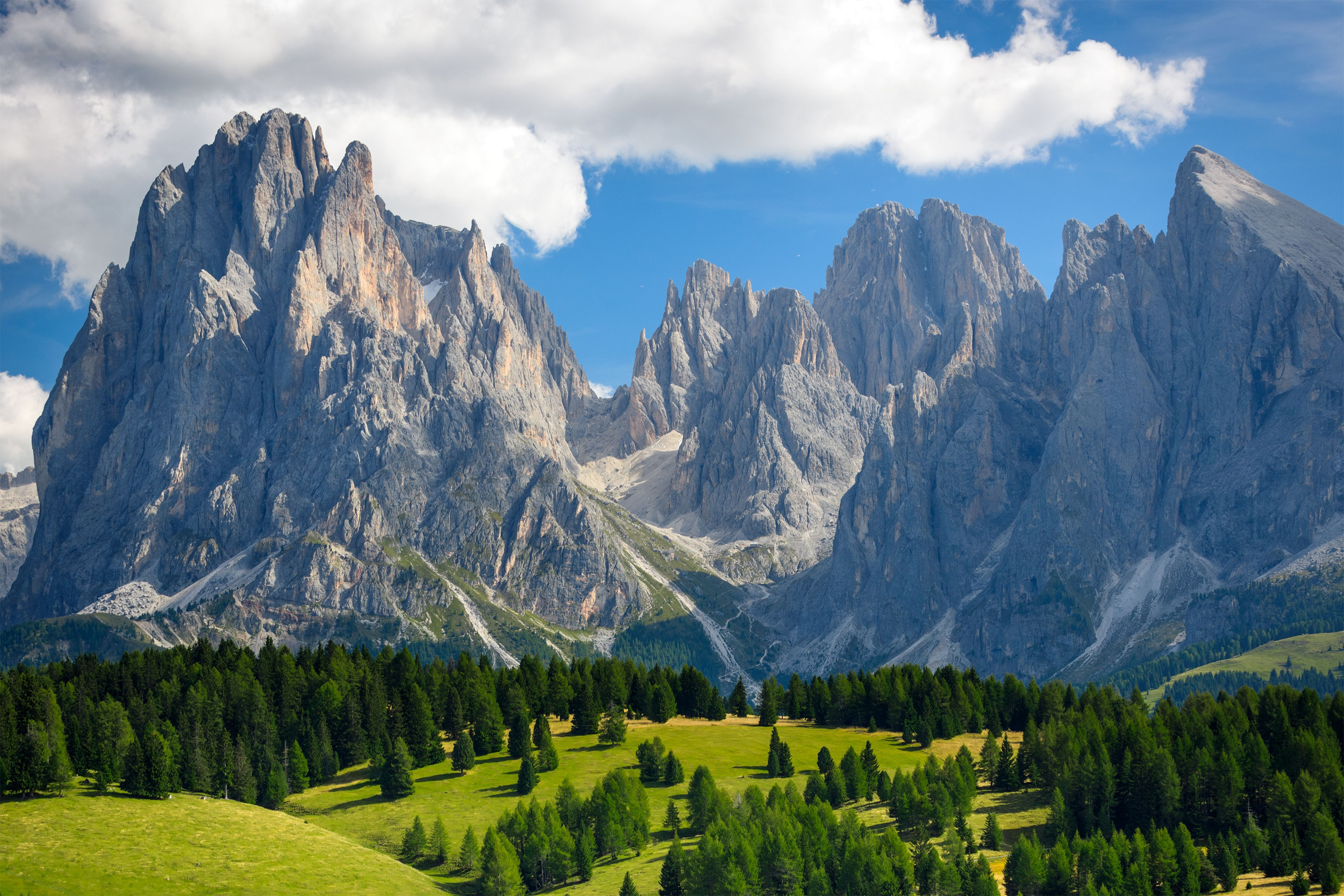 Laugh, Learn, Explore & More - June 6, 2025