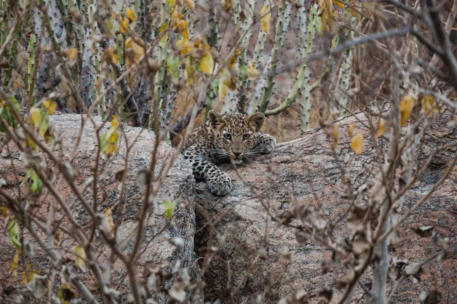 Learn, Laugh, Explore, & More - December 30, 2022