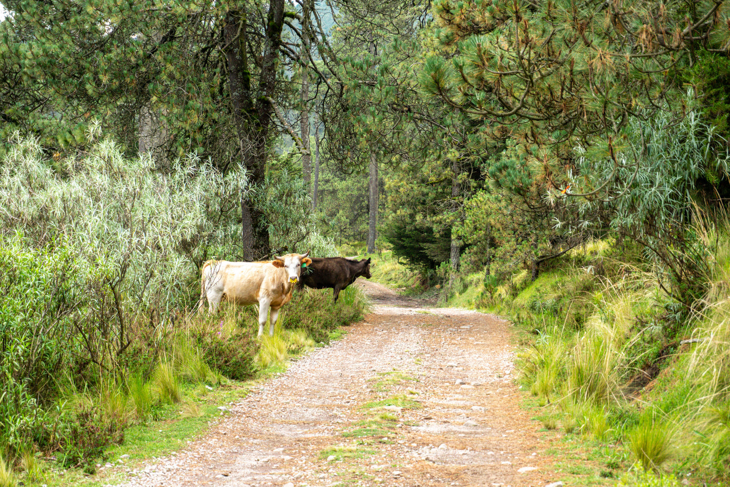 Laugh, Learn, Explore & More - June 2, 2023