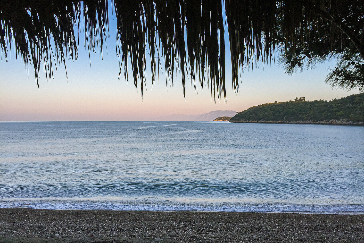 Laugh, Learn, Explore & More - April 14, 2023