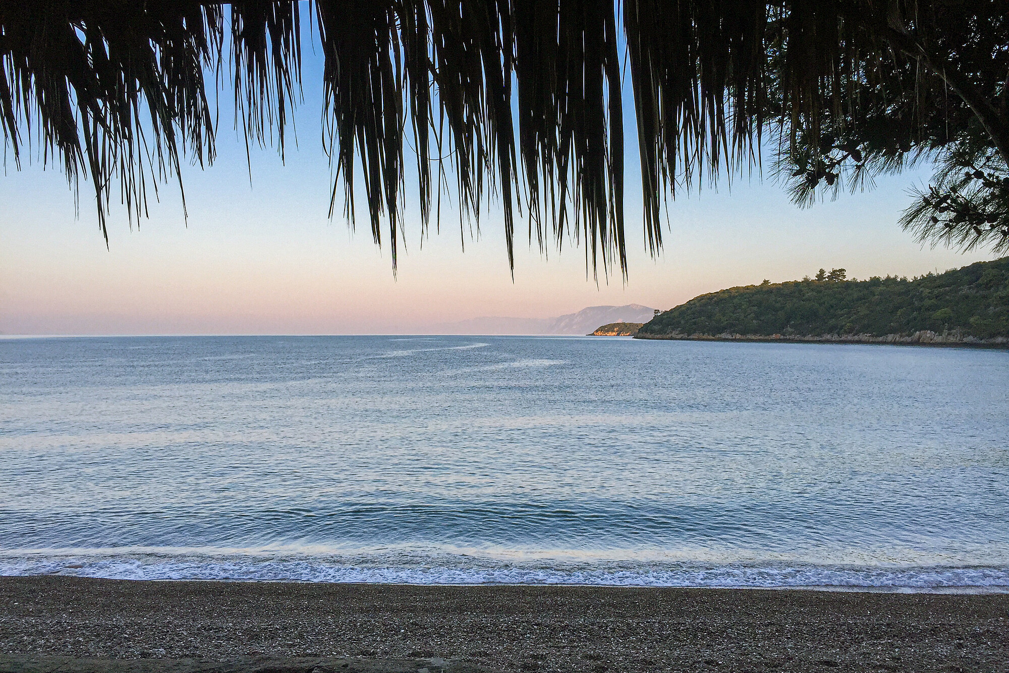 Laugh, Learn, Explore & More - April 14, 2023