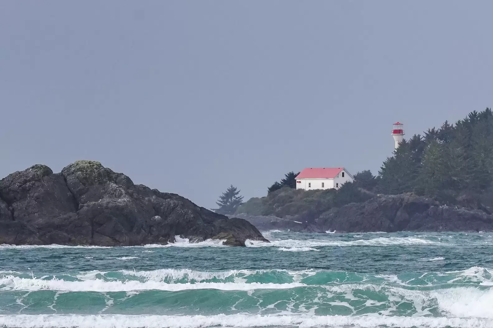 Laugh, Learn, Explore & More - November 17, 2023