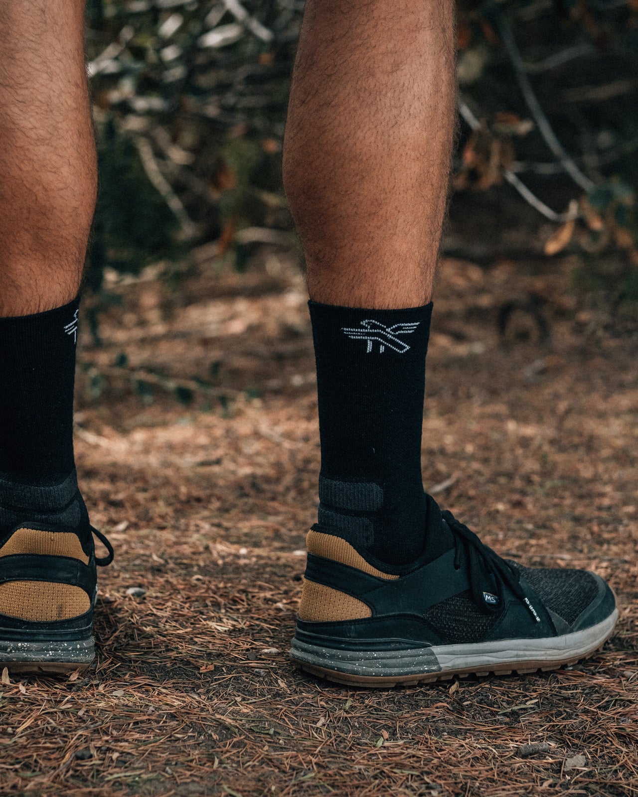 Coolweather Merino Wool Cushioned Socks