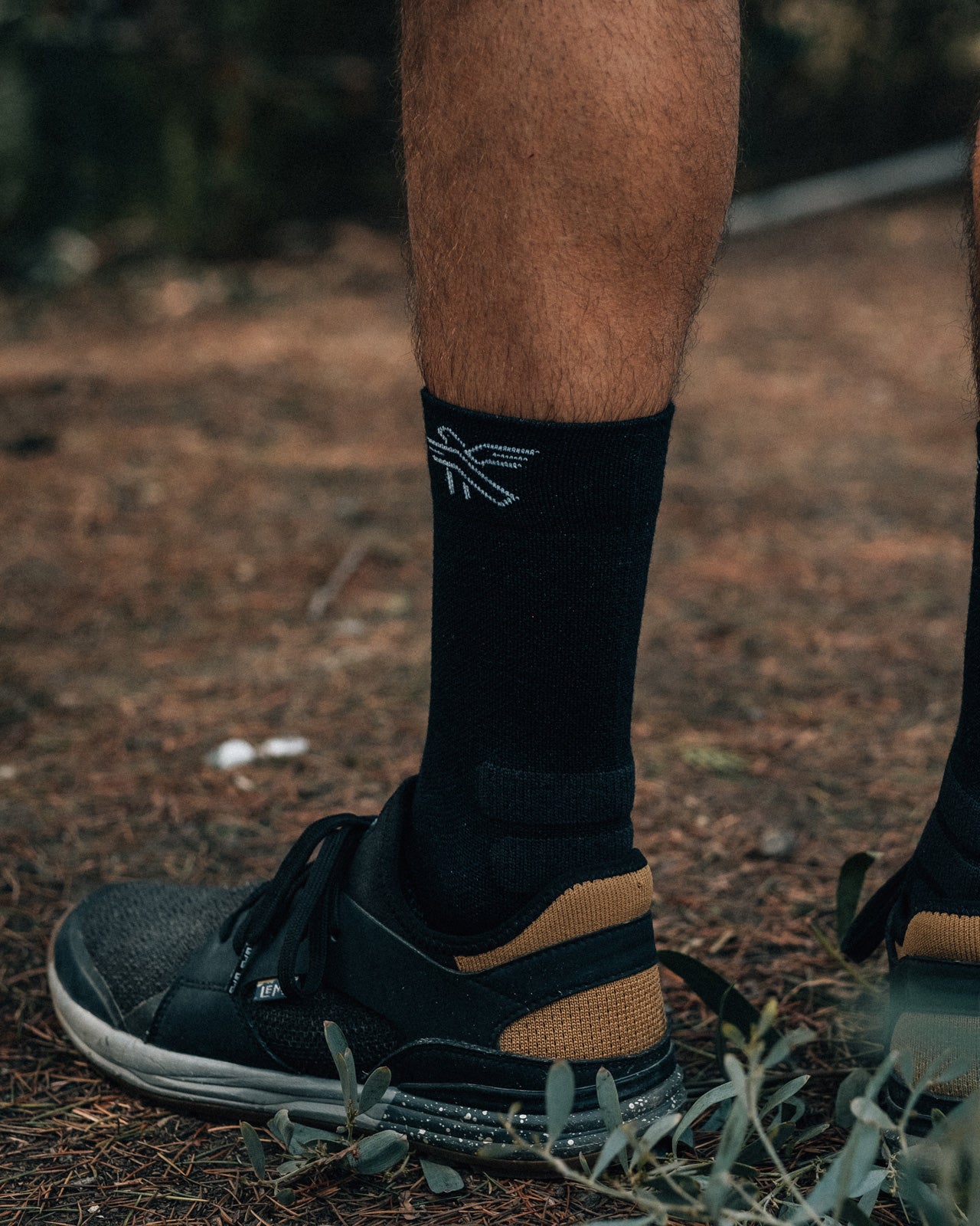 Coolweather Merino Wool Cushioned Socks