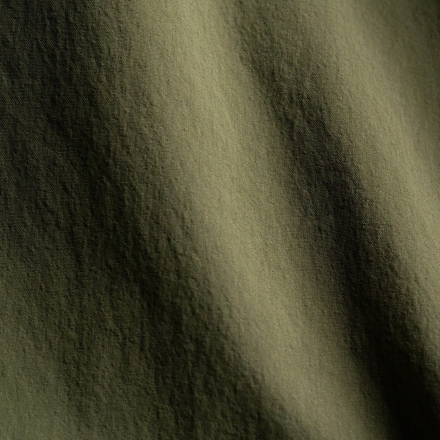 #color_olive