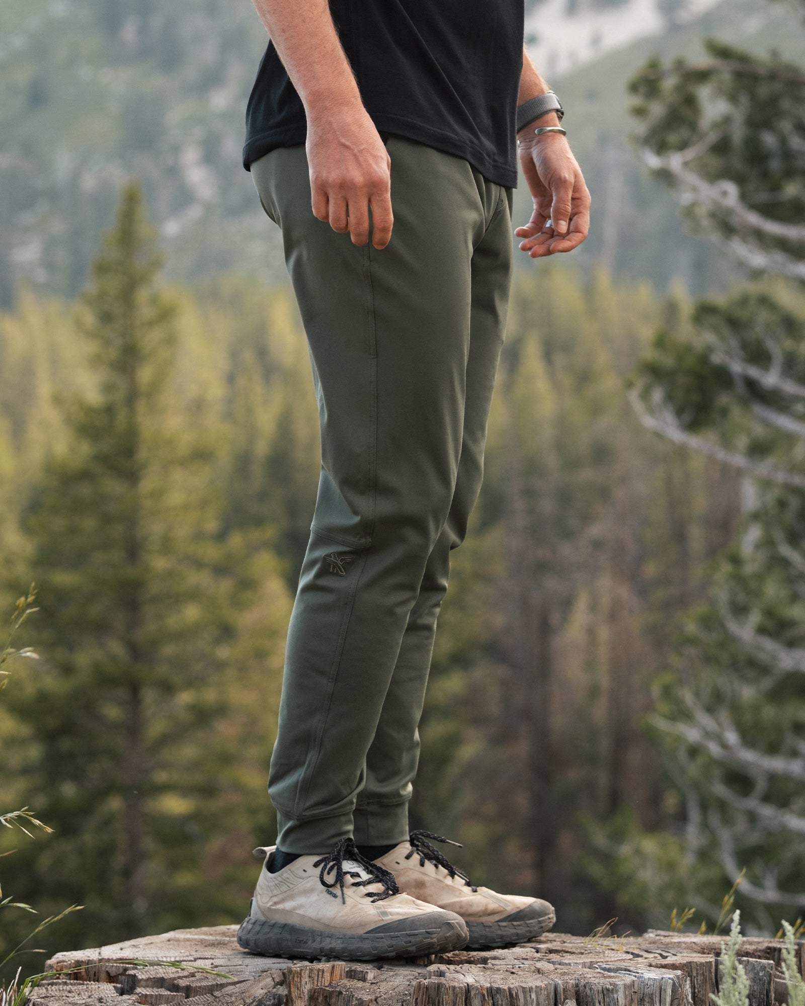 #color_green
