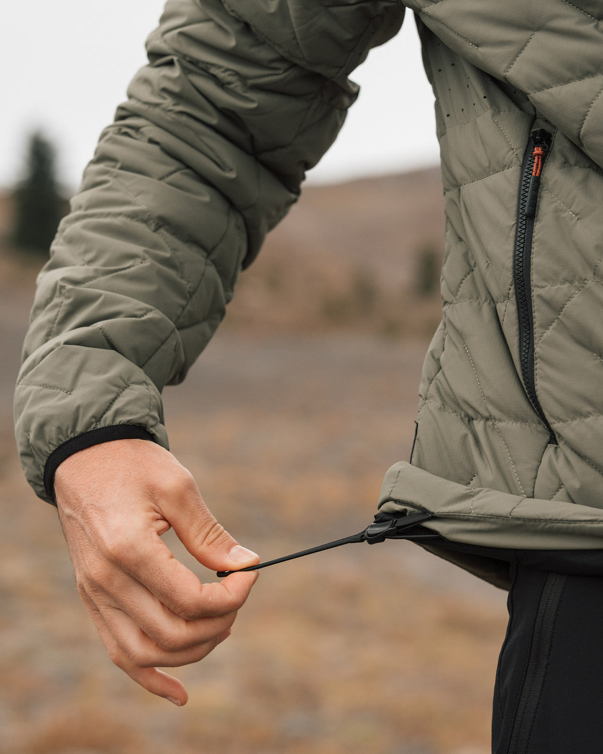 #color_olive green