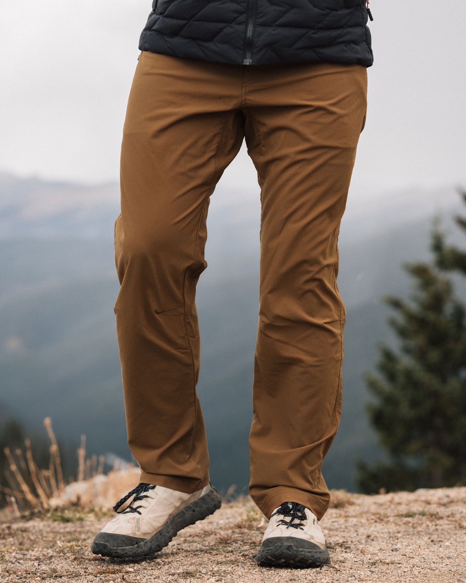 #color_brown