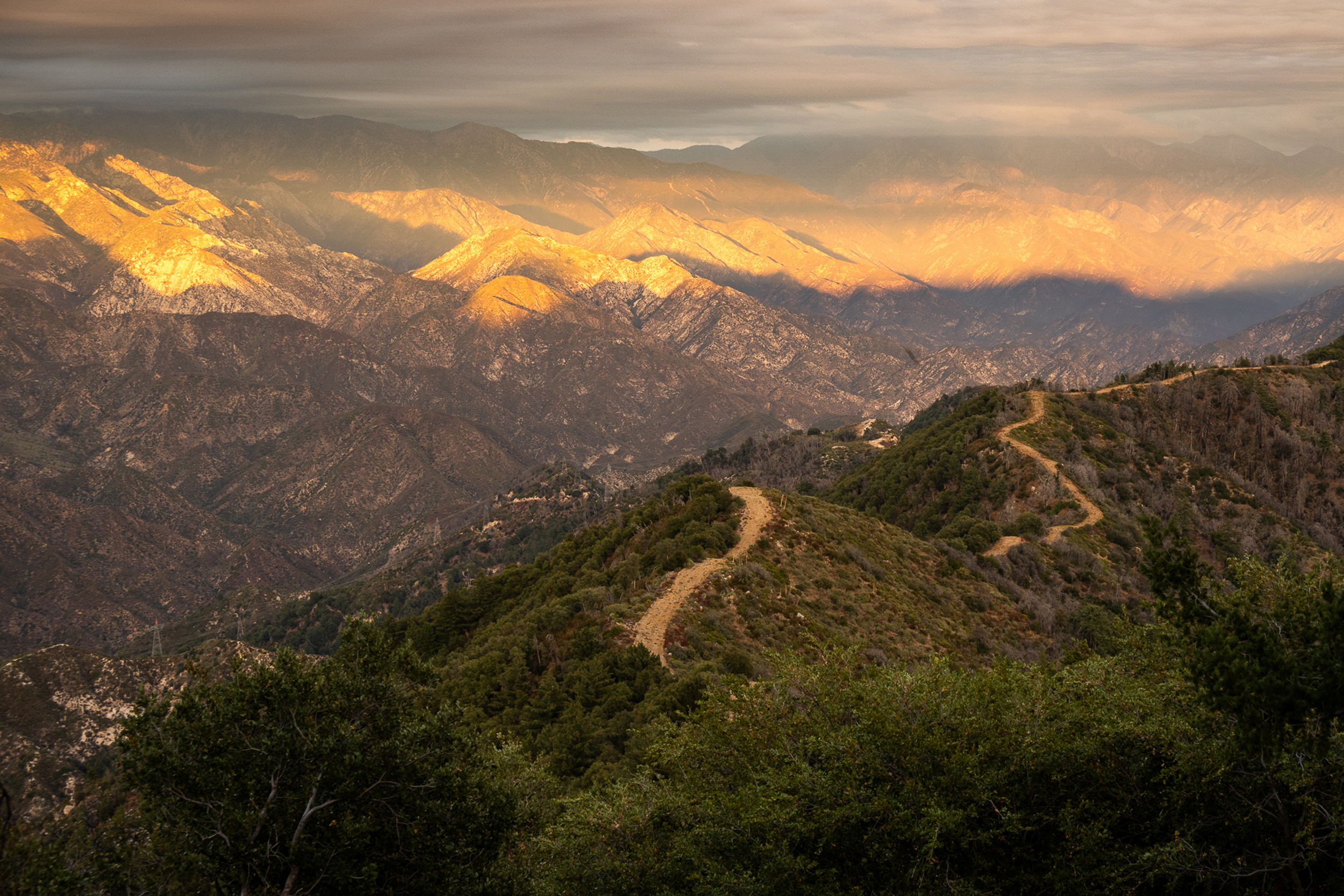 Laugh, Learn, Explore & More - January 2, 2026