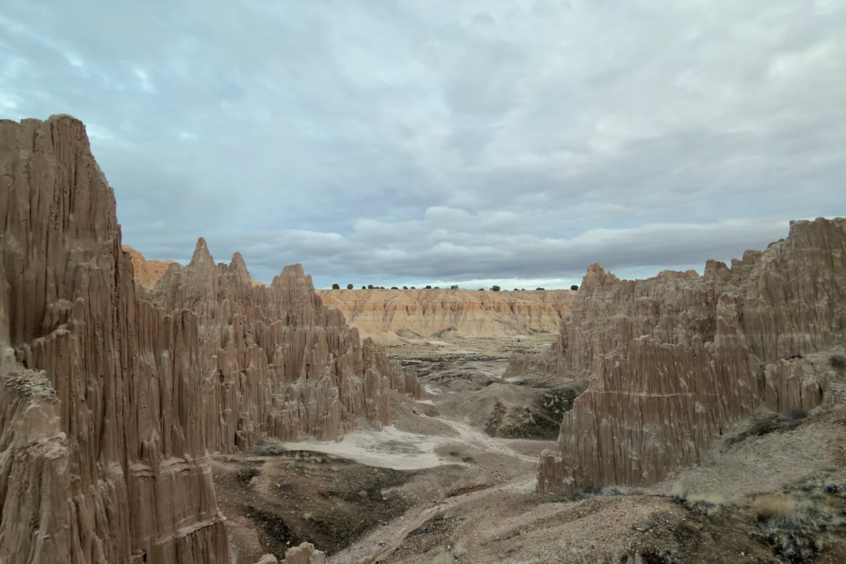 Escapades as of Late | January