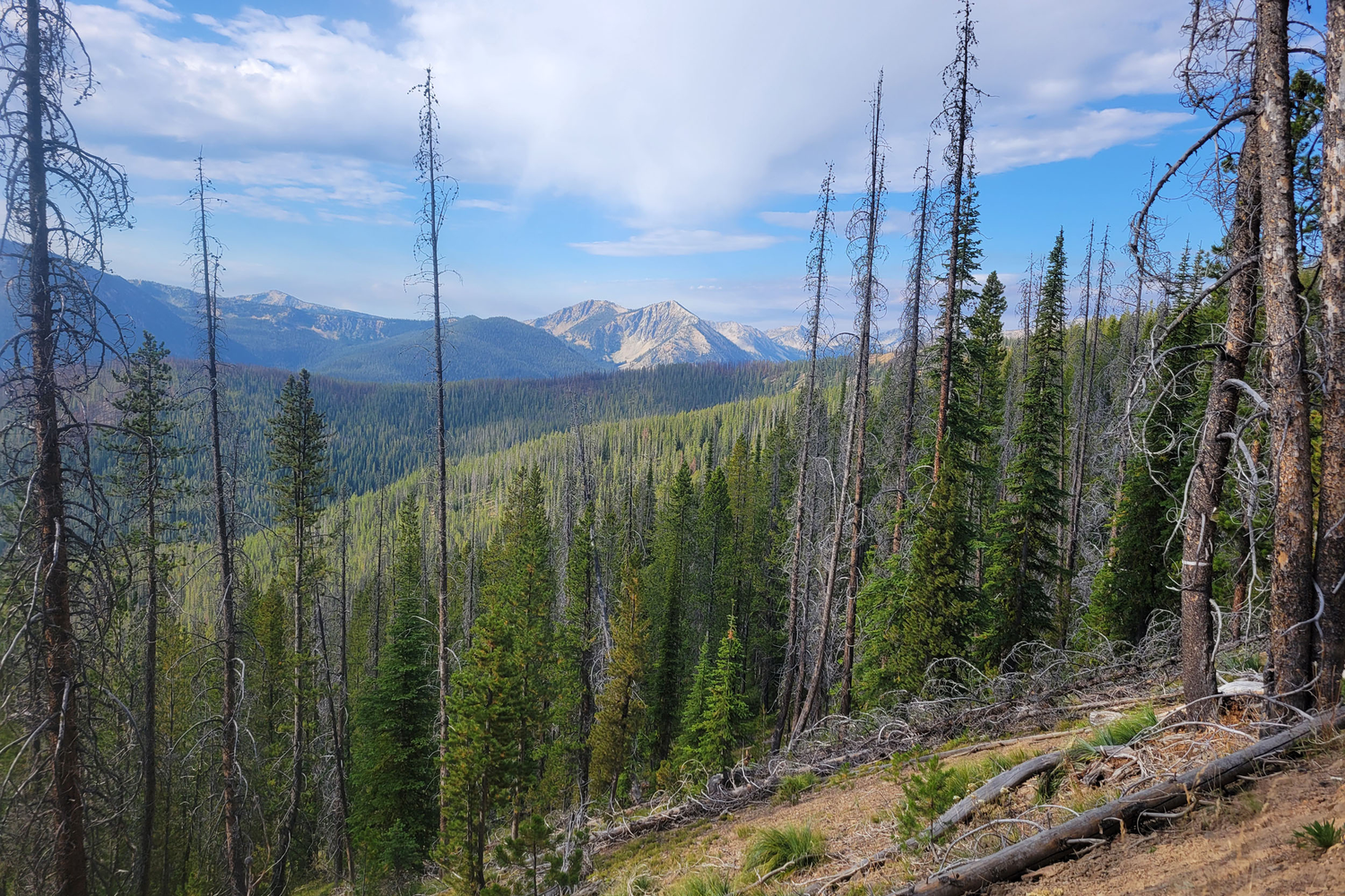 Laugh, Learn, Explore & More - November 7, 2025