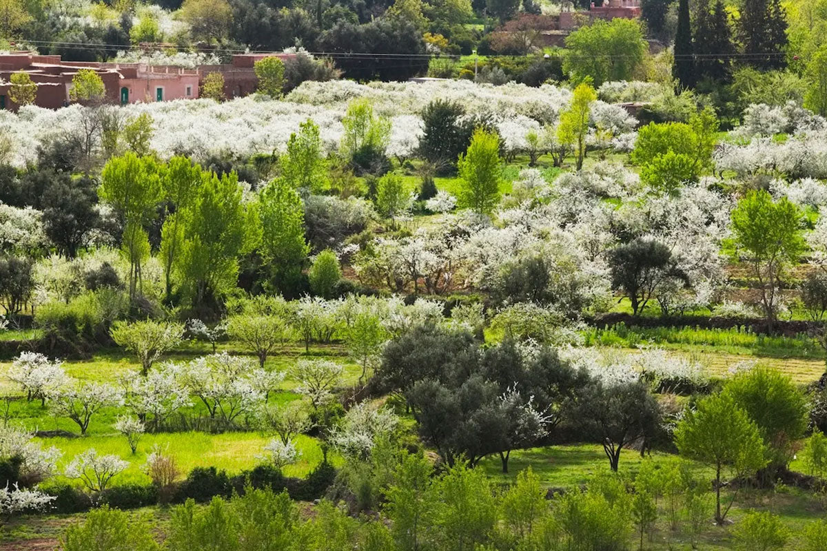 Laugh, Learn, Explore & More - March 13, 2026