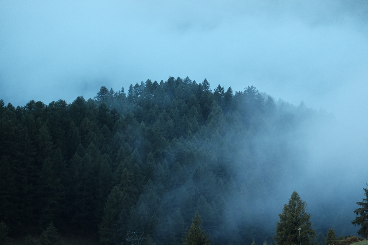 Escapade Highlight: Jared Rides MTB's in the Santa Cruz Forest with Friends