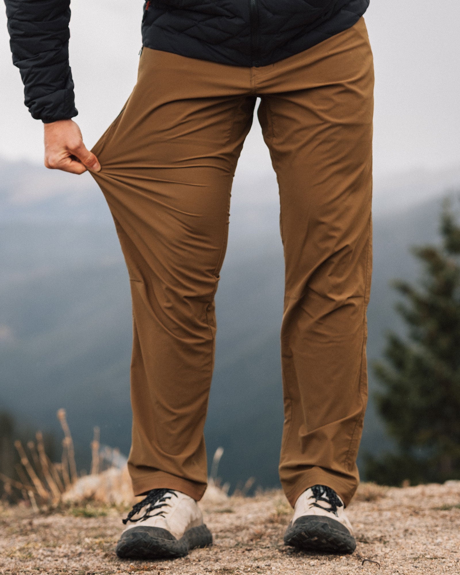 #color_brown